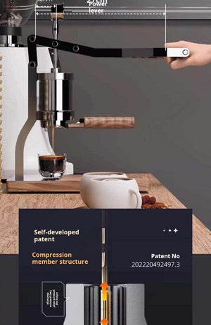 Aleman 2s hand press coffee machine with stainless steel body and wooden base for semi-automatic espresso making