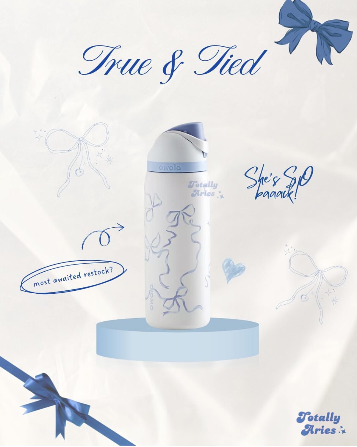 Owala FreeSip Insulated Stainless Steel Water Bottle - True & Tied