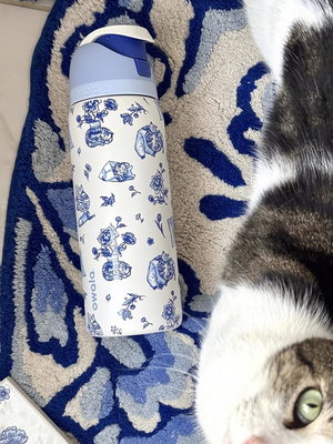 Owala Blue Cat insulated stainless steel water bottle with straw and blue feline design