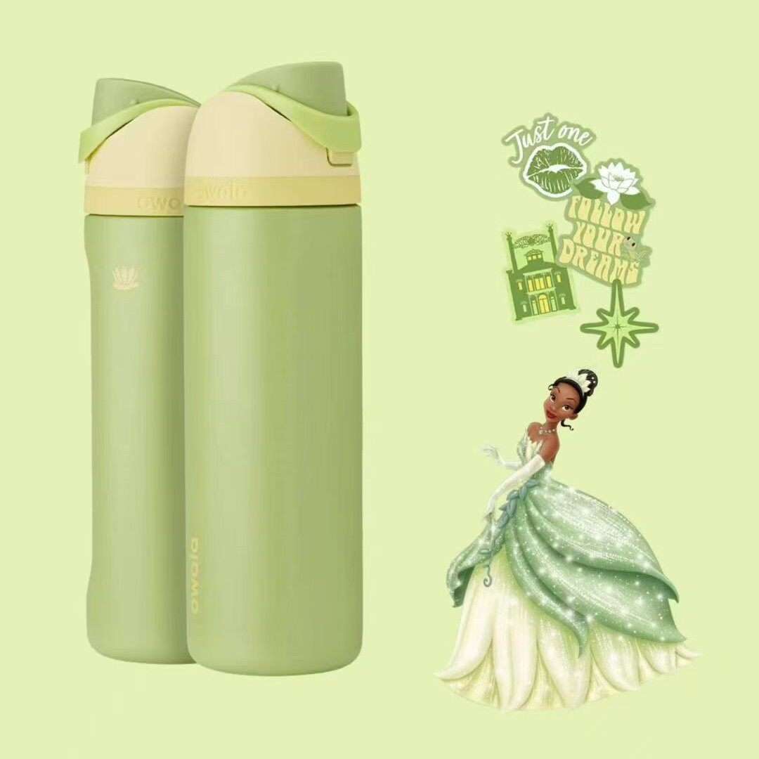 Owala same cup Disney Princess FreeSip insulated water bottle for kids