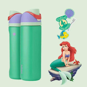 Owala same cup Disney Princess FreeSip insulated kids water bottle