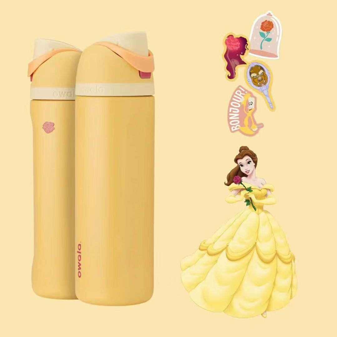 Owala same cup Disney Princess FreeSip insulated water bottle for kids