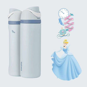 Owala same cup Disney Princess insulated water bottle with FreeSip lid