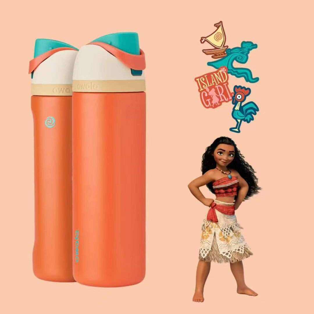 Owala same cup Disney Princess FreeSip insulated water bottle for kids