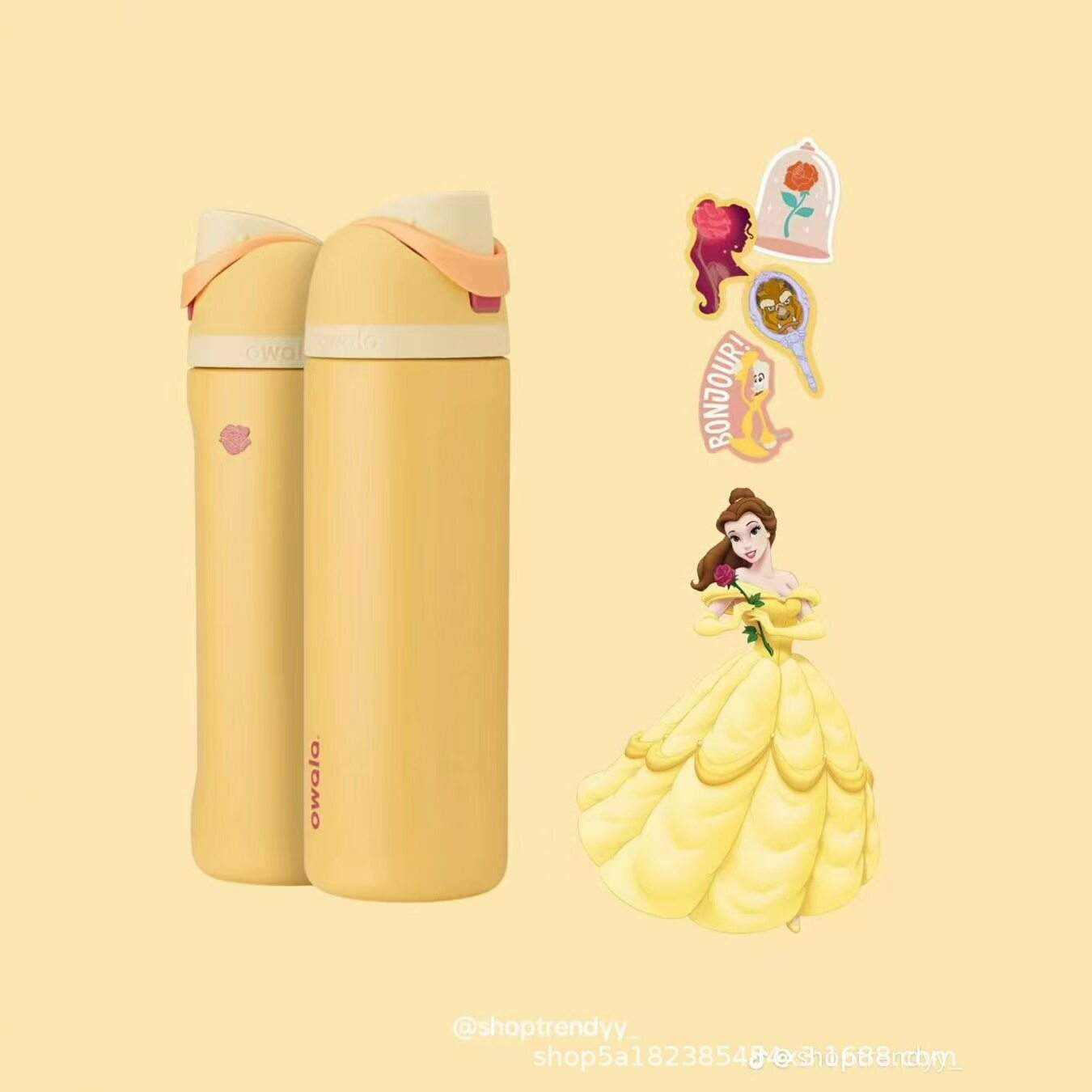 Owala Disney Princess FreeSip insulated water bottle for kids