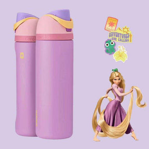 Owala same cup Disney Princess FreeSip insulated water bottle for kids