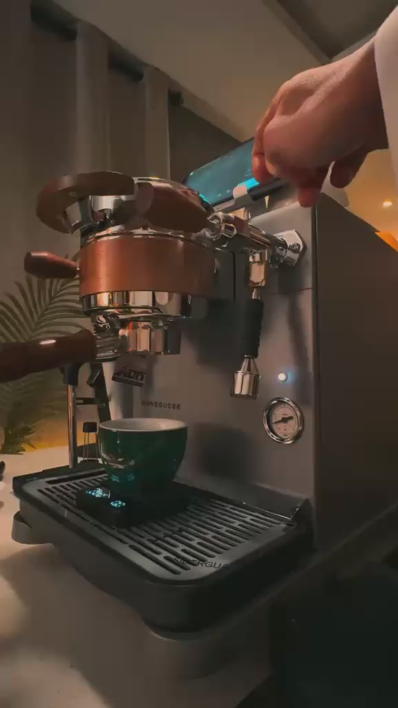 Dual Boiler Espresso Machine, Wendougee DATA-S Gear Pump – Cup To